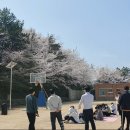 완도금일고등학교 이미지
