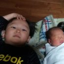 (주)바로벳 Daum카페
