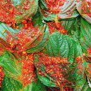 웰빙한식 이미지