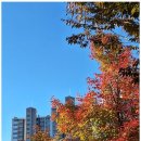 시민행정사사무소 이미지