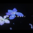 비롤(B-ROLL) 네이버블로그