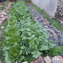 새금빛약국 이미지