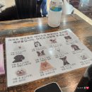 남포아지트 이미지