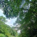 곰배령스케치 이미지