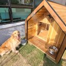 댕댕이집 이미지