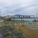 설천면120 네이버블로그