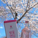 여수밤바다F&B