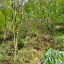 수락 농장 이미지