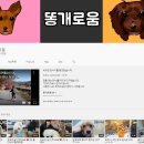 시고르박 이미지