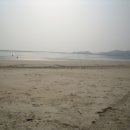 신안 태양광발전소 이미지