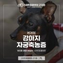 스마트동물병원군자점 이미지