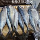 자반고등어 이미지