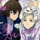 하이독스 이미지