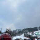 겨울 놀거리 겨울 스포츠 입문 오크밸리 스키장 리프트 장비대여 가격 + 더 잘타짐 렌탈샵 후기