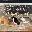 서창로 | 무주 수작부리는 카페 귀여운 고양이가 있는 화덕피자 맛집 내돈내산 솔직후기