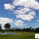 [필리핀 마닐라 골프] 11월~2월 성수기를 준비, 예약하는 마닐라 골프 가이드 이미지