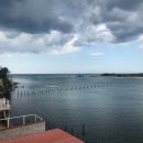 코히마르 이미지