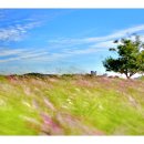 바람불어좋은날 이미지