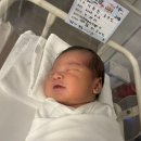 [송파]라벨메르 산후조리원 13박 14일 후기