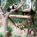 둔산중로-32 이미지