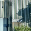 비자낭달집 이미지