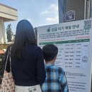 즐거운농장 | 제주 감귤 따기 체험 ㅣ 봉봉감귤농장 새콤달콤 천혜향 수확 내돈내산 후기