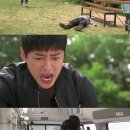 개전농장 이미지