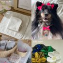 프롬에이치 썸 이미지