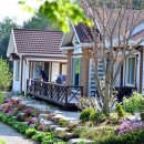 개나리민박 이미지