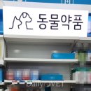 (주)코리아메디칼디바이스 데일리벳