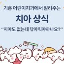 동백쥬니어치과의원 네이버블로그