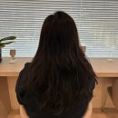 도도헤어갤러리 | 신중동 염색 잘하는 미용실 에테르헤어