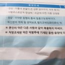 임산부 방광염처방 이미지