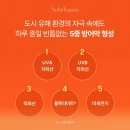 상백1 이미지