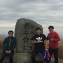 감자븐파머