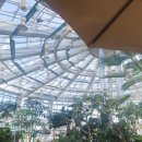 회산백련지 수상유리온실 이미지