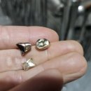 투명한 치과기공소 이미지