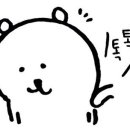 하콩이네 이미지