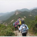 고창선운산풍천장어 이미지