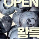 코스모블루베리코스모