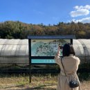 하늘농부유기농영농조합법인 | [골든 홀리데이 페스티벌] 전라남도 보성 몽중산, 전라남도 무안 아우룸황칠 페스티벌 추천