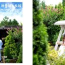 제이엘스튜디오 - 서산시 중앙로 28 | 제이엘스튜디오