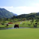 석정힐CC 이미지