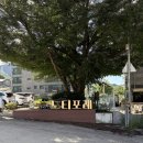 느티포레 | 아기와 함께 가기 좋은 당일치기 바베큐장 양주 느티포레 내돈내산 솔직 후기