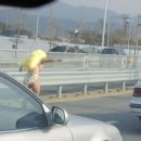 따름인