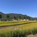 황산공원 캠핑장2번 이미지