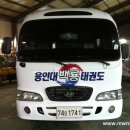 용인대 백룡 태권도 이미지