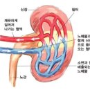 웰밸런스 이미지