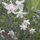 개금현대I(아이) 이미지