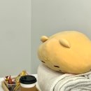 레푸스n바바 | [레푸스수영점앤바바네일] 부산 굳은살, 발각질 문제성 발 관리 후기